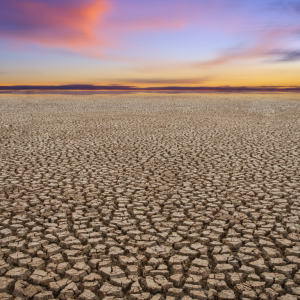 Climate Change and Agriculture: Adapting to a New Reality